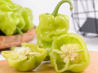 云南特产农家自种皮薄皱皮辣虎皮辣椒青辣椒清脆新鲜蔬菜现摘现发（价格面议）图4