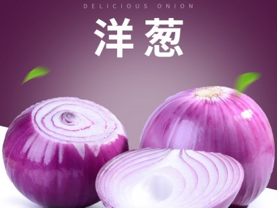 紫皮洋葱新鲜洋葱头农家自种蔬菜红皮大圆葱个大 基地现挖现发（价格面议）图1