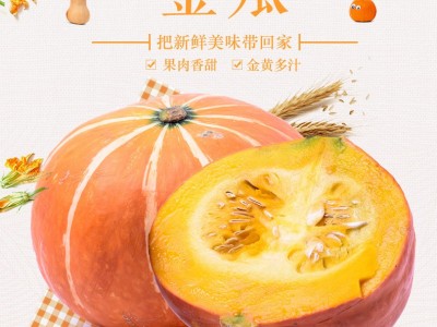 新鲜蔬菜小南瓜小金瓜散装装红南瓜红倭瓜粉糯香甜幼儿辅食圆南瓜（价格面议）图1