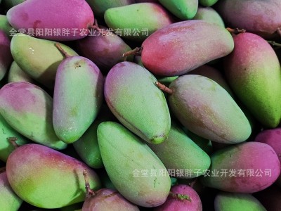 广西贵妃芒果大果新鲜直达支持一件代发图3