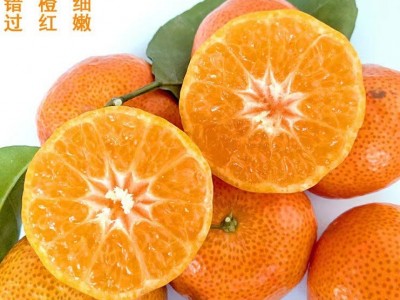 顶峰正宗广东四会砂糖橘甜沙糖桔蜜橘子当季新鲜有机水果8斤128元图5