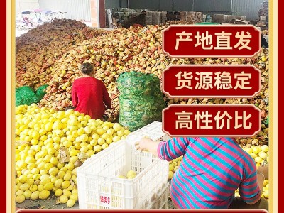 丑果 四川安岳柠檬鲜果批发 当季新鲜水果产地发尤力克黄柠檬代发图1