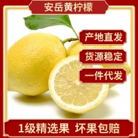 一级精选四川安岳柠檬鲜果批发 当季新鲜水果 产地直发黄柠檬代发