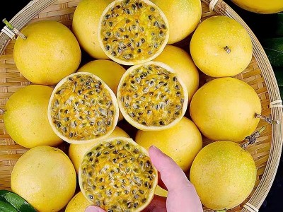 黄金百香果海南钦蜜9号黄金百香果产地直发1斤3斤5斤一件代发图4