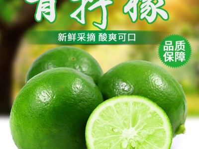 青柠檬海南青柠檬新鲜好果香水柠檬皮薄多汁一件代发批发包邮图1
