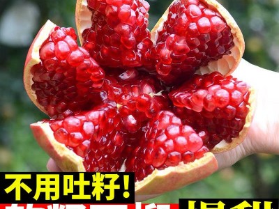 突尼斯软籽石榴四川会理时令新鲜孕妇水果无籽石榴大果批发包邮图1