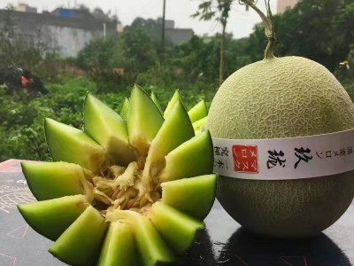 10斤包邮新疆哈密瓜25号新鲜应季当季水果整箱州蜜瓜西香甜网纹瓜图5
