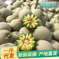 10斤包邮新疆哈密瓜25号新鲜应季当季水果整箱州蜜瓜西香甜网纹瓜
