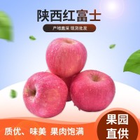 陕西宝鸡红富士苹果包邮带箱5斤/10斤新鲜现摘水果脆甜应季批发
