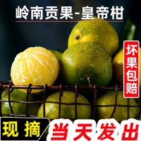 皇帝柑新鲜橘子当季水果贡柑橘蜜桔非沃柑砂糖橘整箱10斤广西武鸣