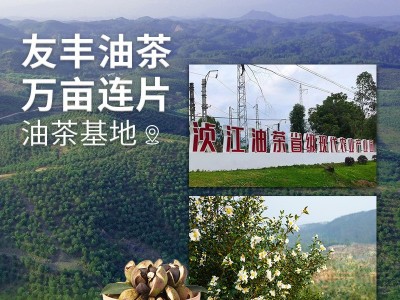 恒百年500ml*2物理冷压榨食用油礼盒野山茶油纯茶籽油茶子油直批  2瓶起批图4