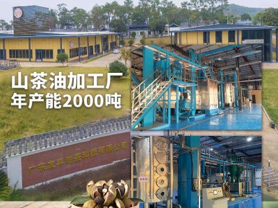 山茶油50ml有机初榨茶茶籽油 食用纯茶子油物理冷榨 2瓶起批图3