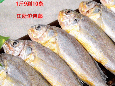 宁波象山东海新鲜冷冻小黄鱼 鲜活石浦黄花鱼批发一斤9-10条 5斤起批图3