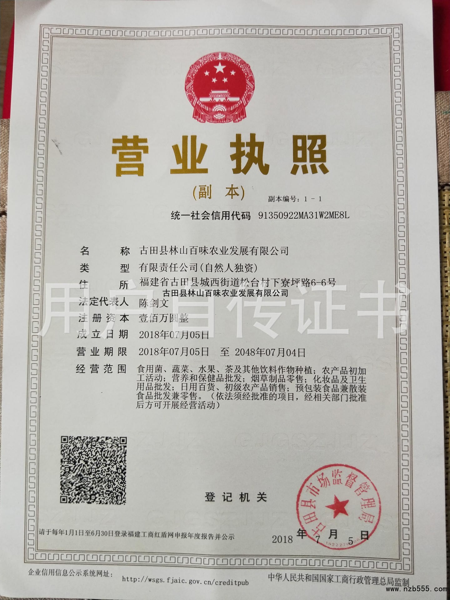 古田县林山百味农业发展有限公司