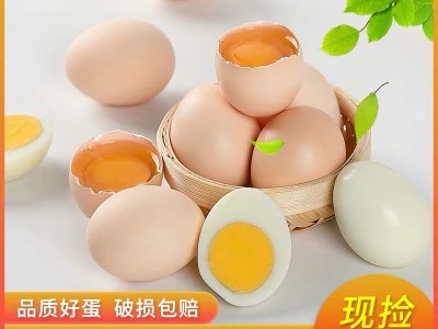 莲田优选鸡蛋农场农庄鸡蛋土鸡产蛋无抗新鲜鸡蛋谷物粮食喂养40枚  2件起批图1