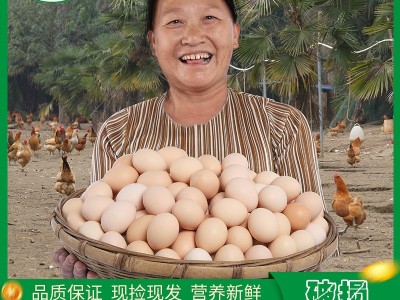 莲田优选鸡蛋农场农庄鸡蛋土鸡产蛋无抗新鲜鸡蛋谷物粮食喂养40枚  2件起批图3