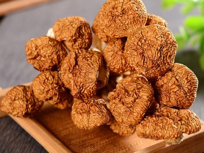 福建古田干货滑子菇500g 食用菌原产地批发直供山珍山货滑子菇 2件起批图3