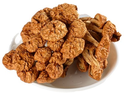 福建古田干货滑子菇500g 食用菌原产地批发直供山珍山货滑子菇 2件起批图5