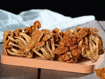 福建古田干货滑子菇500g 食用菌原产地批发直供山珍山货滑子菇 2件起批图1