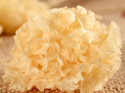 福建古田椴木小银耳500g 厂家直销软糯可口出胶率高散装批发  2件起批图4