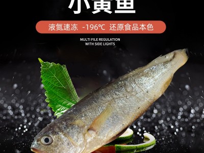 舟山东海3条/400g大黄鱼 冷冻简装冻货黄鱼 批发家用鲜美深水黄鱼图1
