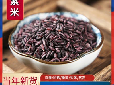 云南特产墨江紫糯米新货 煲粥血糯米粗粮紫米五谷杂粮批发图1