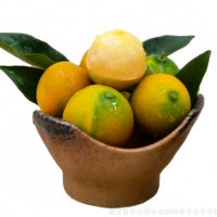 广西特色融安金桔脆蜜金柑绿色健康水果中国地理标志食品脆蜜果王