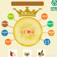 广西特产融安金桔中国地理标志产品新鲜水果现摘特级脆蜜金柑包邮