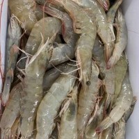 速冻大虾海鲜水产厄瓜多尔白虾