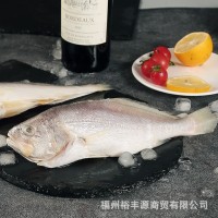 新鲜黄鱼/缅甸米黄鱼/深海鱼/冰冻黄鱼/冰鲜黄花鱼
