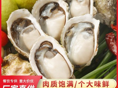 福建沿海海鲜半壳生蚝餐饮烧烤食材肉质肥嫩新鲜冻生蚝肉支持贴牌图1