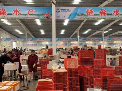 湖北潜江养殖清水鲜活小龙虾批发餐饮 青红壳肉质饱满干净图3