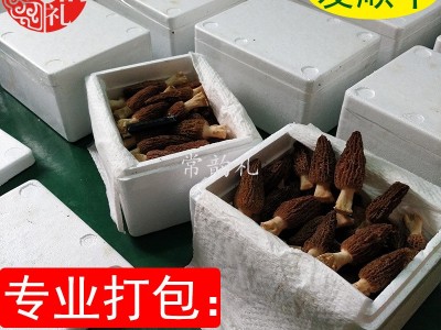 22年新鲜羊肚菌鲜品 产地货源 大量批发 野生菌 支持一件代发1kg  2千克起批图2