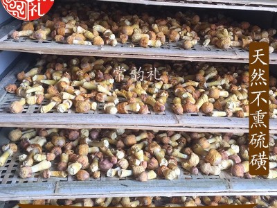姬松茸干货 本色无硫小菇不熏硫磺云南基地直供现货大量供应500克  2件起批图2