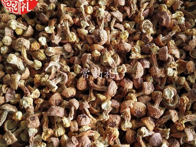 姬松茸干货 本色无硫小菇不熏硫磺云南基地直供现货大量供应500克  2件起批图5