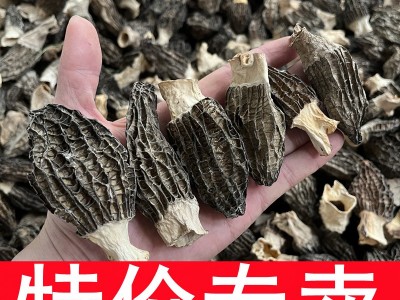 特价羊肚菌干货 酒店餐饮菌汤包专用便宜食用菌产地大量批发500克  2件起批图1