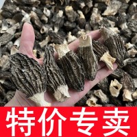 特价羊肚菌干货 酒店餐饮菌汤包专用便宜食用菌产地大量批发500克  2件起批