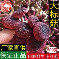 福建野生红菇干货大量批发产地直供云南广西正红菇非二红 500克  2件起批