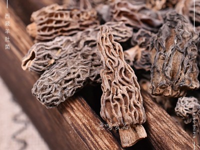 西藏羊肚菌高 原羊肚菌干货肉质肥厚味道浓 食用菌类产地批发代发  2袋起批图4