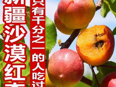 新疆小红杏吊干杏鲜杏纯甜一杏两吃新鲜应季水果一件代发/落地配图1