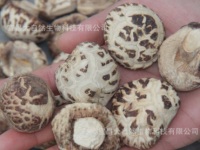 湖北花菇干货500g椴木散装香菇干基地自产自销食用菌  2件起批图3