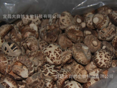 湖北花菇干货500g椴木散装香菇干基地自产自销食用菌  2件起批图5