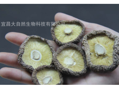 厂家直销剪脚香菇干食用菌优质干货肉厚小香菇批发散装500g  2件起批图4