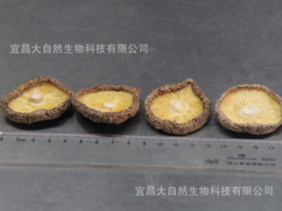厂家直销剪脚香菇干食用菌优质干货肉厚小香菇批发散装500g  2件起批图1