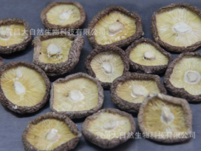 厂家直销剪脚香菇干食用菌优质干货肉厚小香菇批发散装500g  2件起批图3