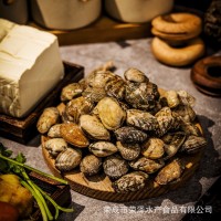 初旬味无沙花蛤500g*4 餐饮专用鲜活急冻新鲜花甲蛤蜊 熟冻杂色蛤