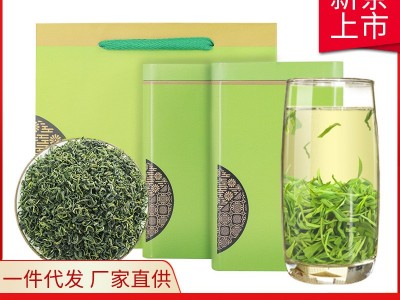 2022新茶香茶叶绿茶炒青松阳日照罐装250g高山云雾绿茶一件代发图1