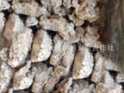 原产地地瓜渣 红薯渣 适合鸭鹅等动物辅助饲料有需要请电话咨询  1吨起批图3