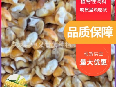 大量批发碎玉米 玉米筛漏 地瓜渣 适合动物喂养 饲料厂产品质量好  2吨起批图3