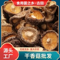 古田特产干香菇500g食用菌菇散装剪脚无根肉厚干蘑菇片现货批发  10件起批